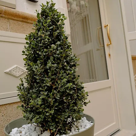 別荘 Casa Il Piccolo Principe